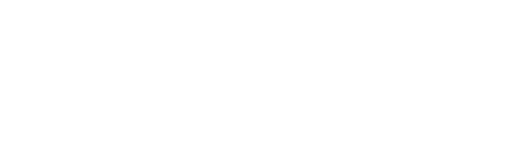 Nielsen Consultores